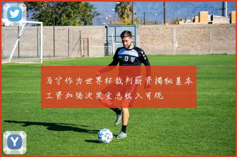 马宁作为世界杯裁判薪资揭秘基本工资加场次奖金总收入可观