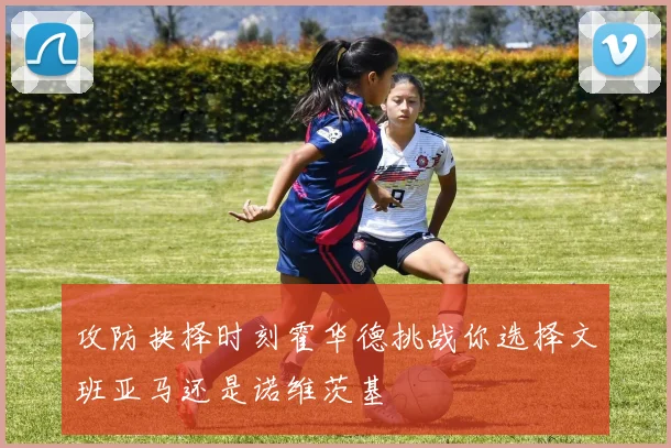 攻防抉择时刻霍华德挑战你选择文班亚马还是诺维茨基