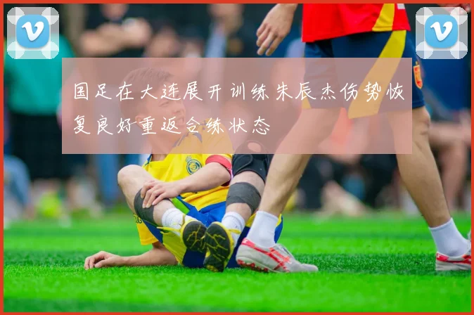 国足在大连展开训练朱辰杰伤势恢复良好重返合练状态