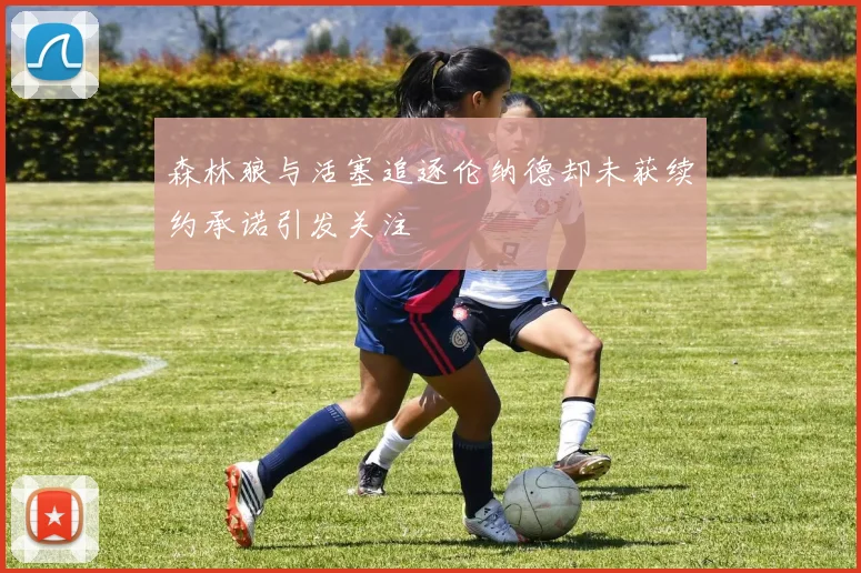 森林狼与活塞追逐伦纳德却未获续约承诺引发关注